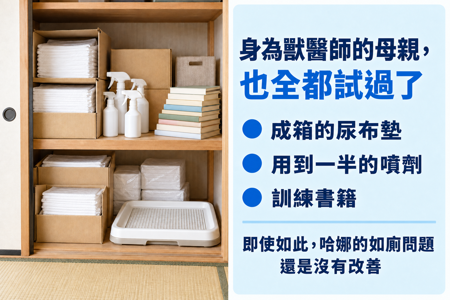 身為獸醫師的母親也全都試過。拋棄式尿布墊的箱子、用到一半的噴劑、訓練書。即使如此,哈娜的如廁問題還是沒有改善。