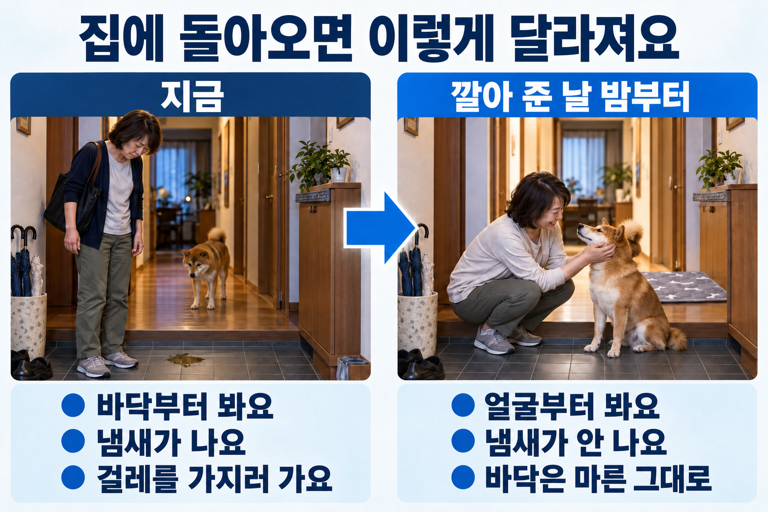 귀가가 이렇게 달라진다. 지금은 바닥을 먼저 보고, 냄새가 나고, 걸레를 가지러 간다. 패드를 깐 날 밤부터는 얼굴을 먼저 보고, 냄새가 나지 않고, 바닥은 보송한 그대로.