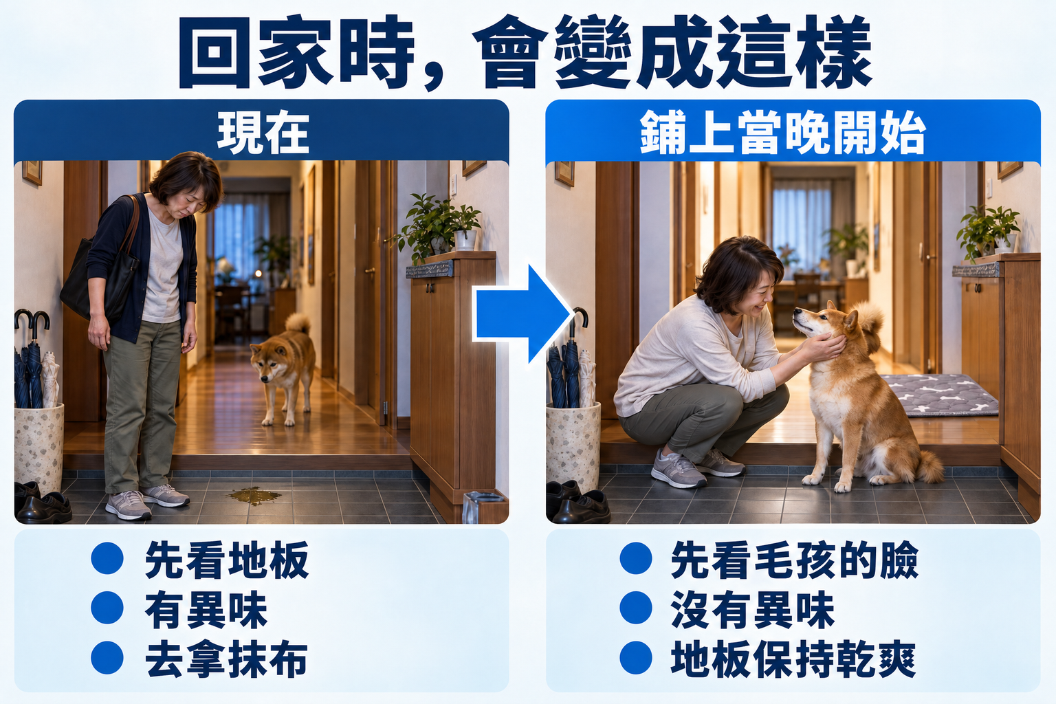 回家的情景會這樣改變。現在是先看地板、聞到異味、去拿抹布。從鋪上當天的晚上起,先看牠的臉、沒有異味、地板依然乾爽。