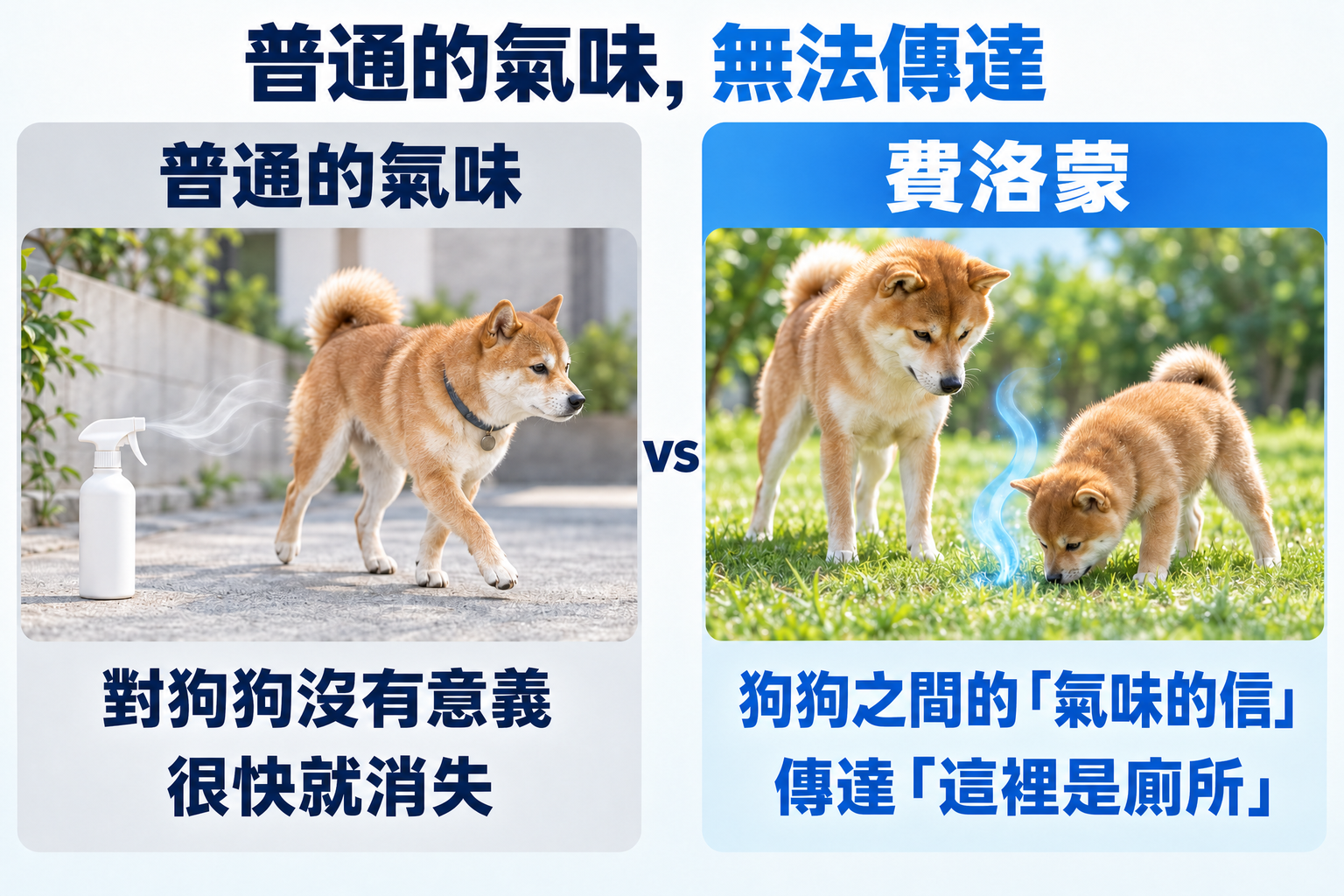 普通的氣味無法傳達。普通的氣味對狗狗沒有意義,而且很快就消失。費洛蒙是狗狗之間的「氣味的信」,能傳達這裡是廁所。