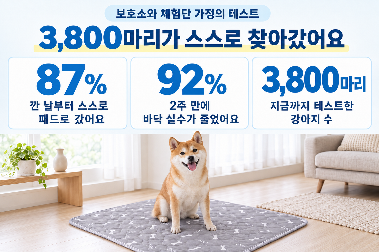 일본의 보호소와 체험 가정에서 진행한 테스트. 패드를 깐 날부터 스스로 패드로 향한 비율 87%, 2주 만에 바닥 실수가 줄어든 비율 92%, 지금까지 사용해 본 강아지 3,800마리.