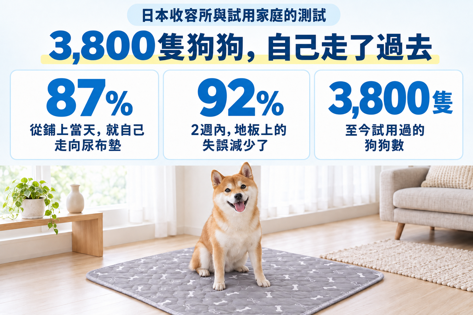 日本收容所與試用家庭的測試。從鋪上當天就自己走向尿布墊87%、2週內地板上的失誤減少92%、至今試用過的狗狗3,800隻。