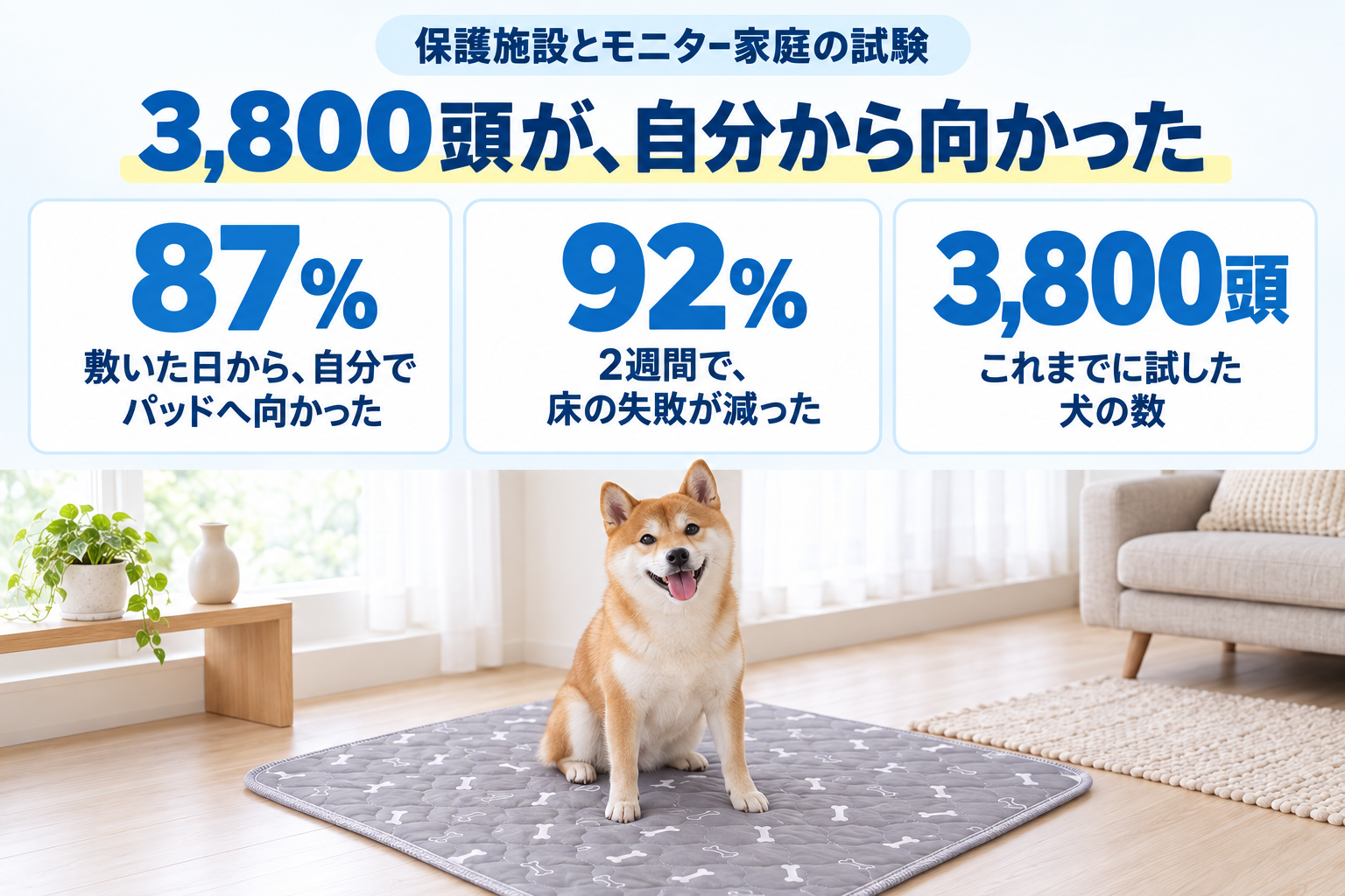 保護施設とモニター家庭の試験。敷いた日から自分でパッドへ向かった87%、2週間で床の失敗が減った92%、これまでに試した犬3,800頭。