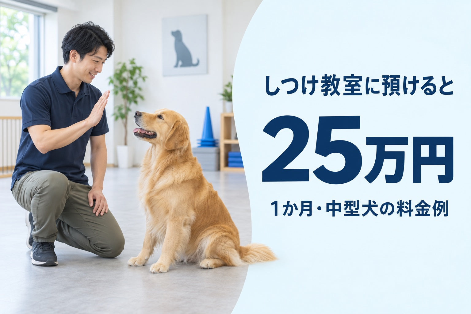 中型犬を1か月預かる訓練の料金例25万円