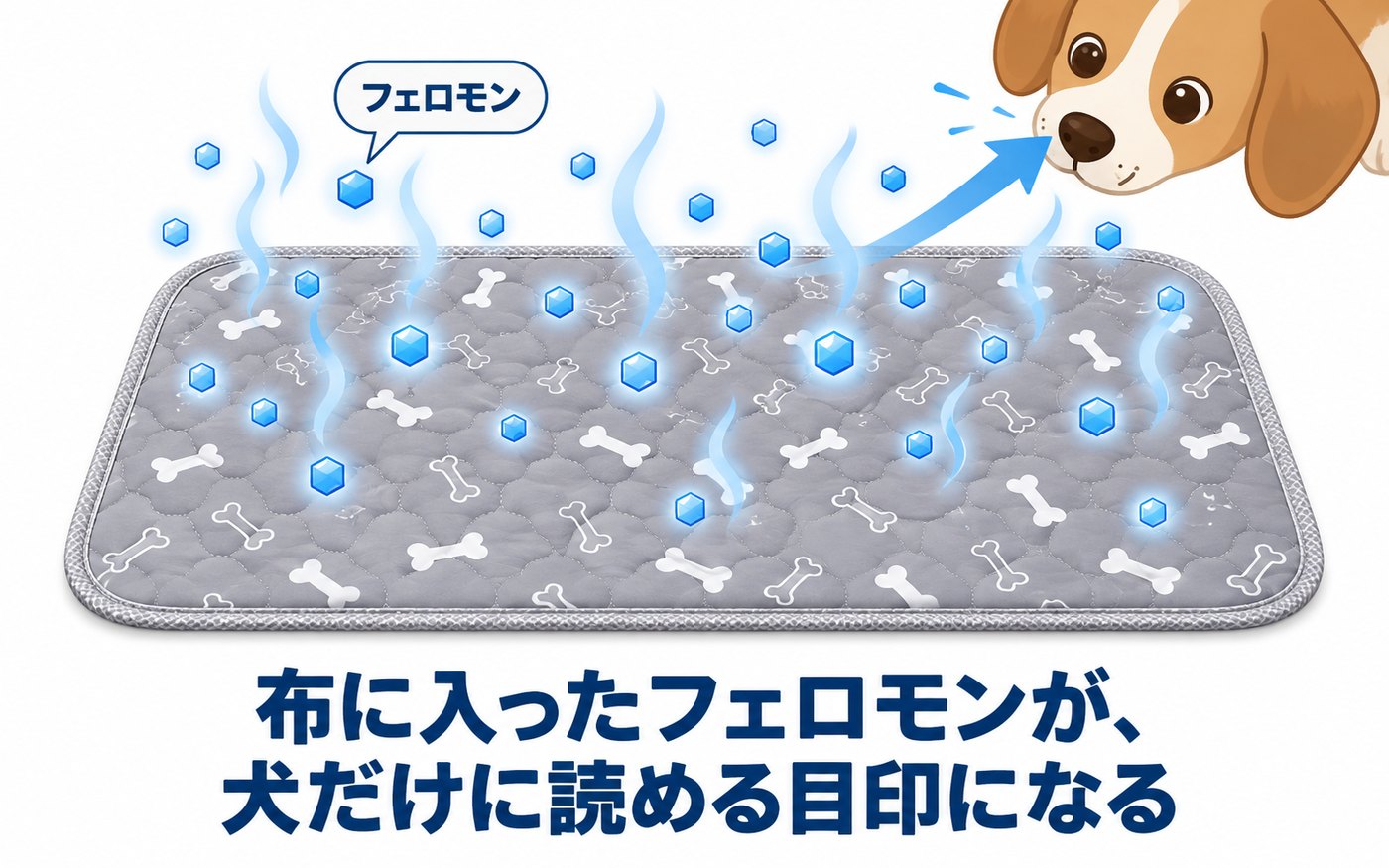 パッドの表面のにおいを嗅ぐ犬