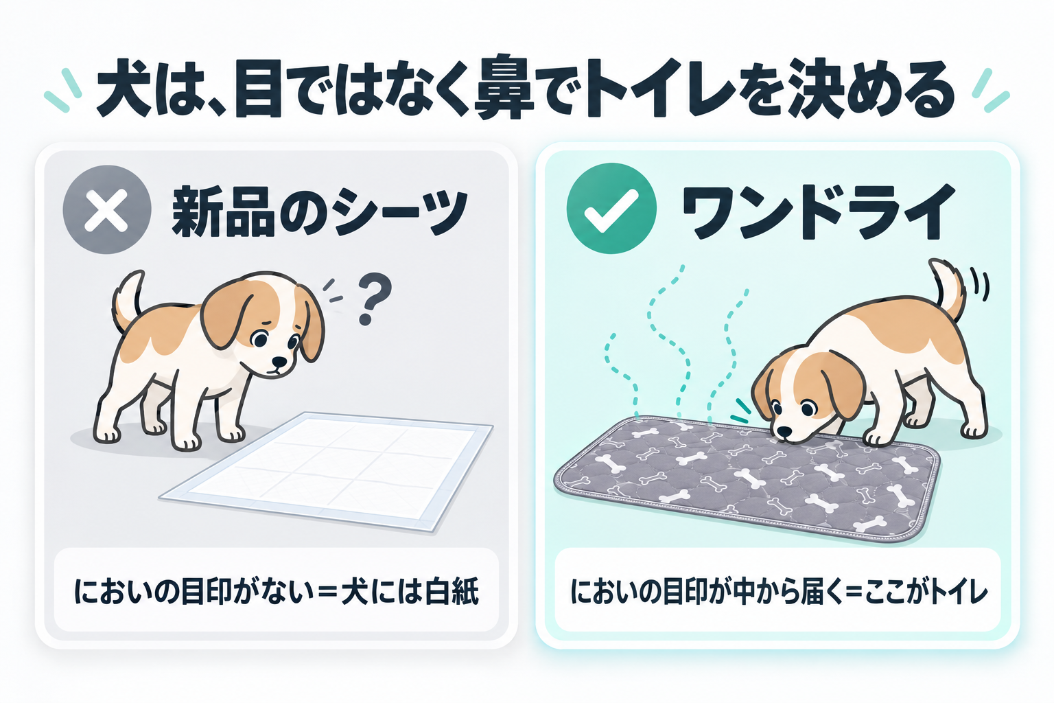 犬は目ではなく鼻でトイレを決める。新品のシーツはにおいの目印がなく犬には白紙。ワンドライはにおいの目印が中から届く。