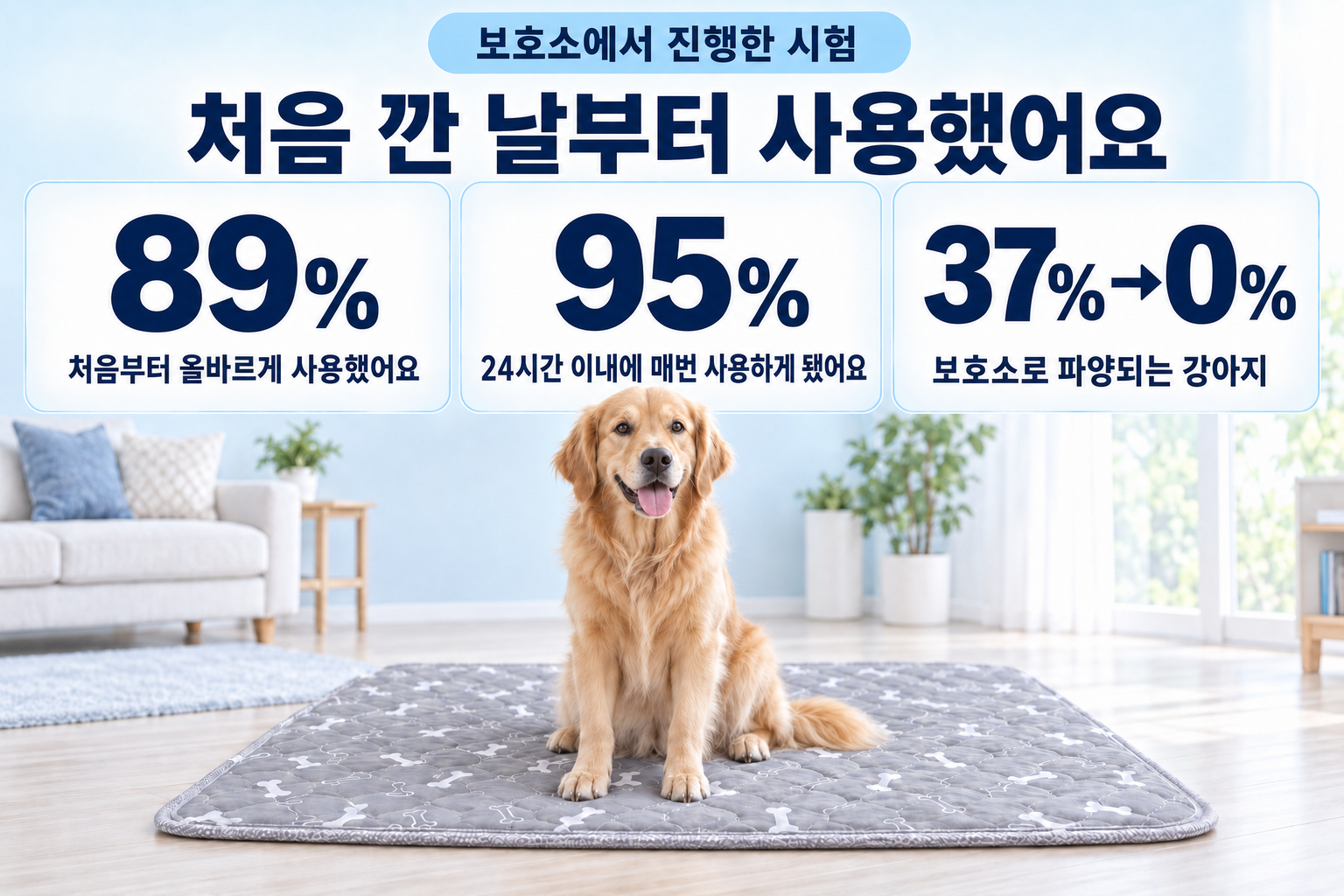 일본 보호소에서 진행한 시험. 처음부터 바르게 사용 89%, 24시간 안에 매번 사용하게 됨 95%, 보호소로 되돌아오는 강아지 37%에서 0%.