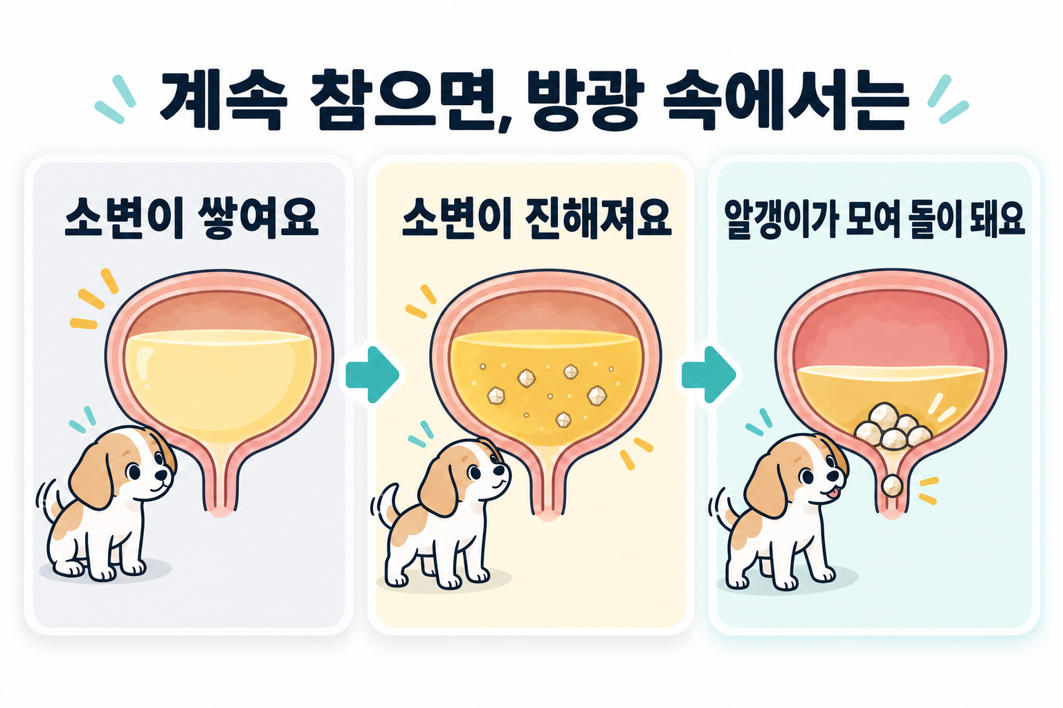 계속 참으면 방광 안에서는 소변이 고이고, 소변이 진해지고, 알갱이가 모여 돌이 된다.