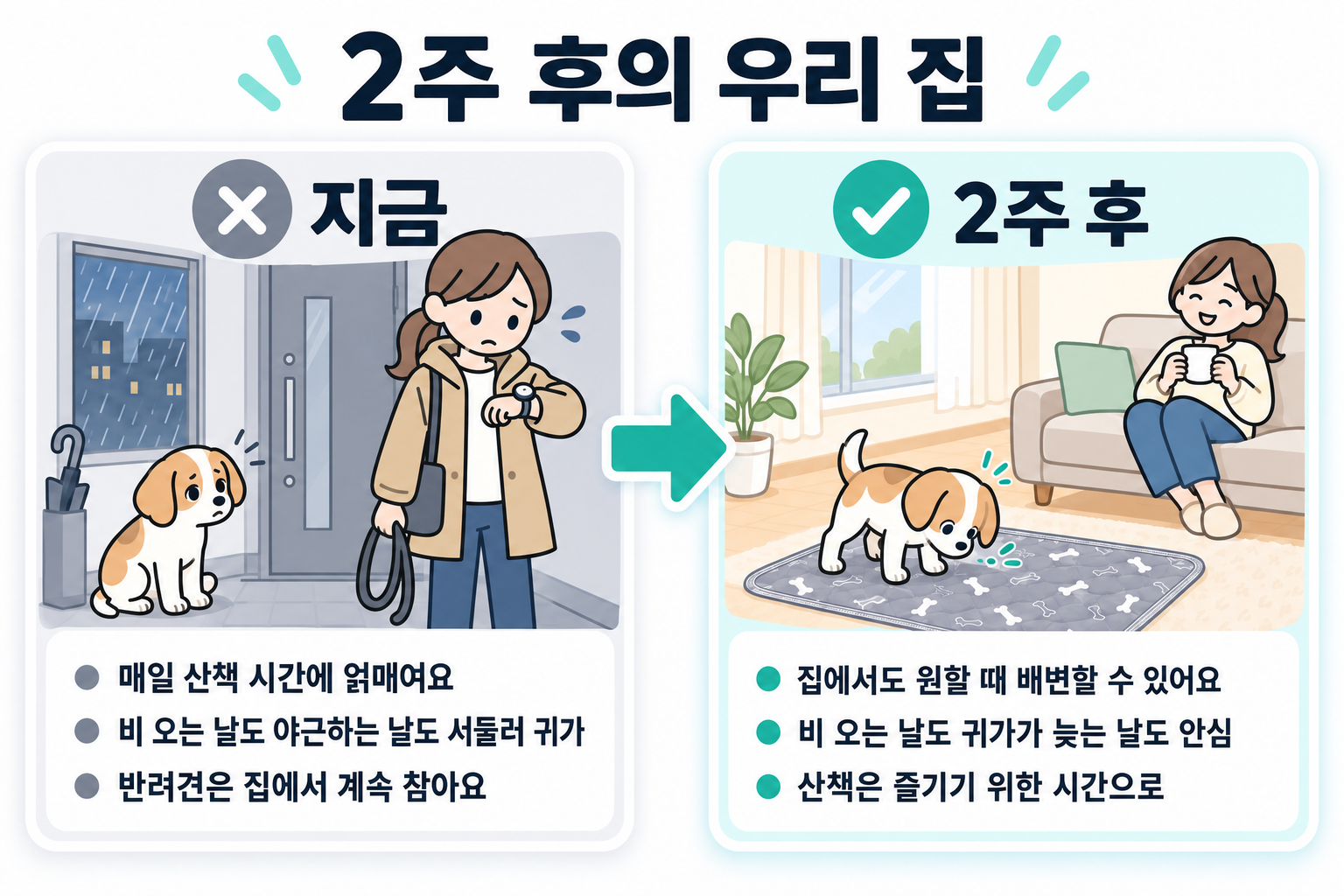 지금은 산책 시간에 얽매이고, 비 오는 날에도 서둘러 귀가하고, 반려견은 집에서 계속 참는다. 2주 뒤에는 집에서도 원할 때 소변을 볼 수 있고, 비 오는 날도 귀가가 늦는 날도 안심, 산책은 즐기기 위한 시간으로.