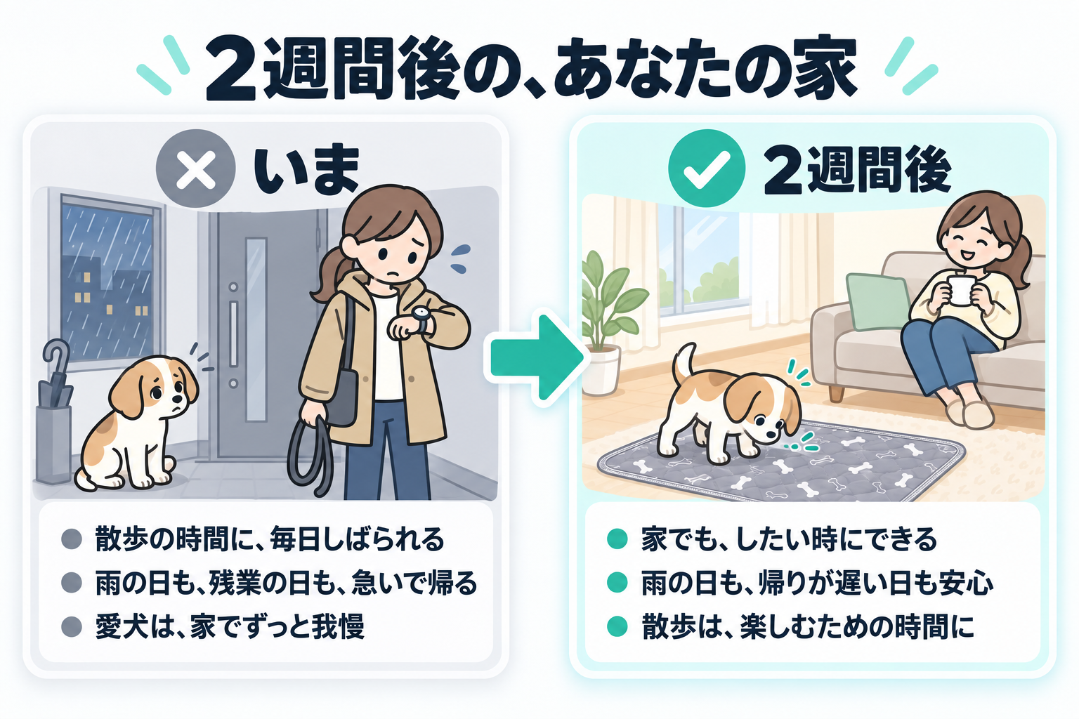 いまは散歩の時間にしばられ、雨の日も急いで帰り、愛犬は家でずっと我慢。2週間後は、家でもしたい時にでき、雨の日も帰りが遅い日も安心、散歩は楽しむための時間に。