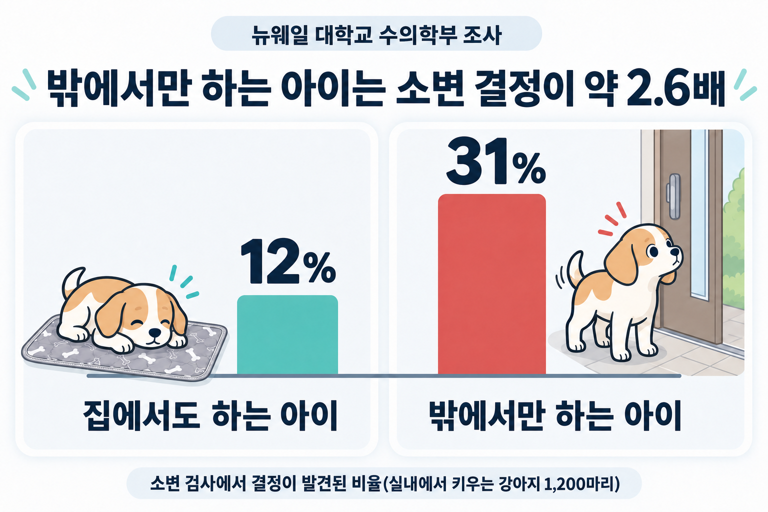 뉴웨일 대학교 수의과대학 조사. 소변 검사에서 결정이 발견된 비율은 집에서도 소변을 보는 아이 12%, 밖에서만 소변을 보는 아이 31%로 약 2.6배.