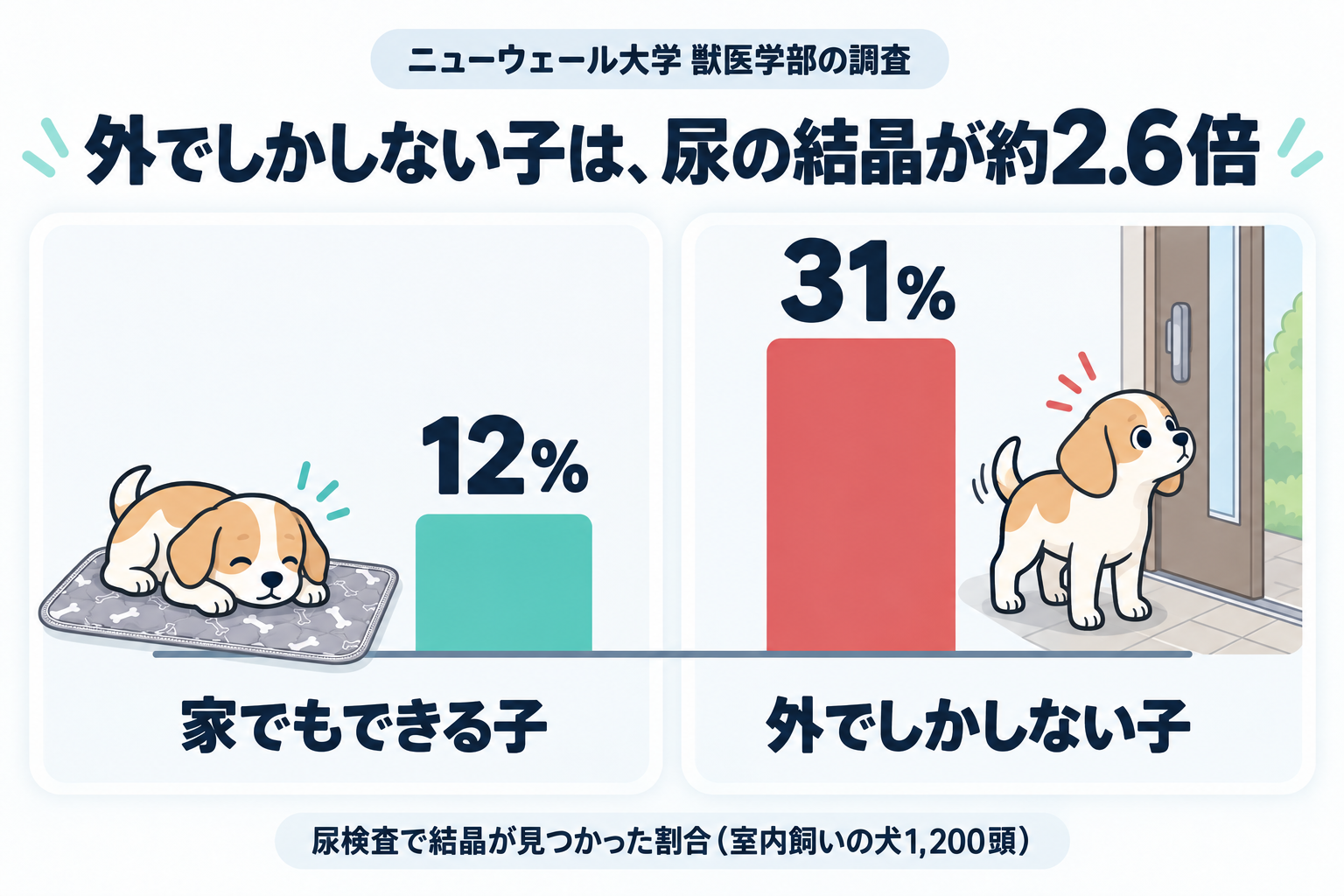 ニューウェール大学獣医学部の調査。尿検査で結晶が見つかった割合は、家でもできる子12%、外でしかしない子31%で約2.6倍。