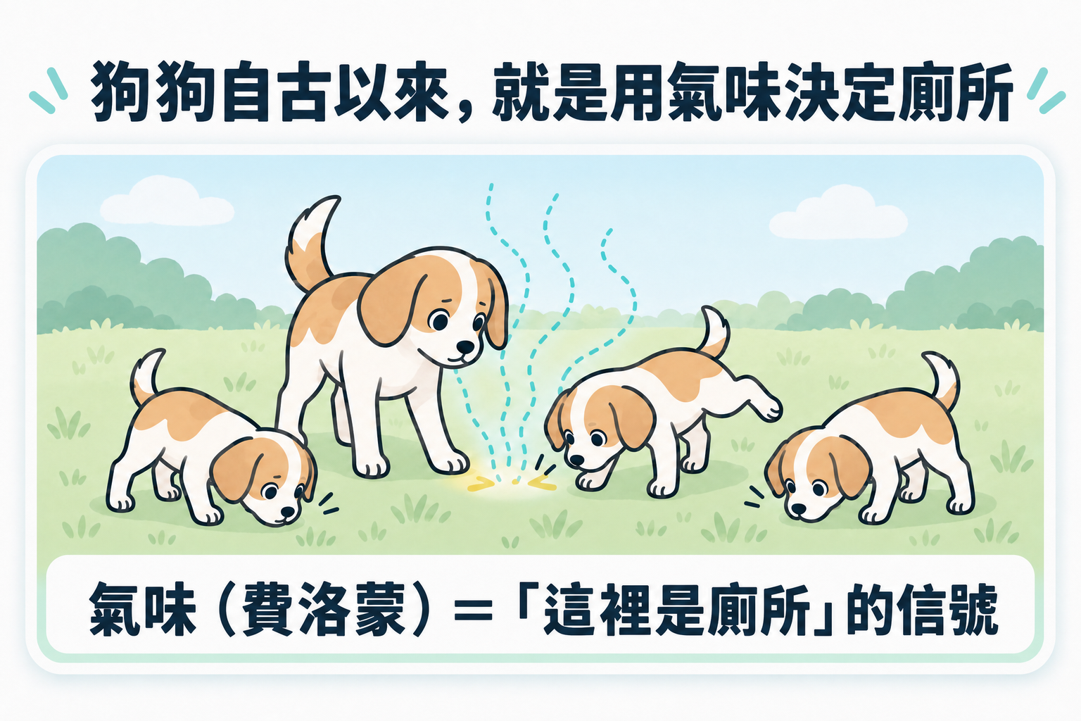 狗狗自古以來就靠氣味決定廁所。聞到母犬尿液的味道，幼犬也會在同一個地方尿尿。