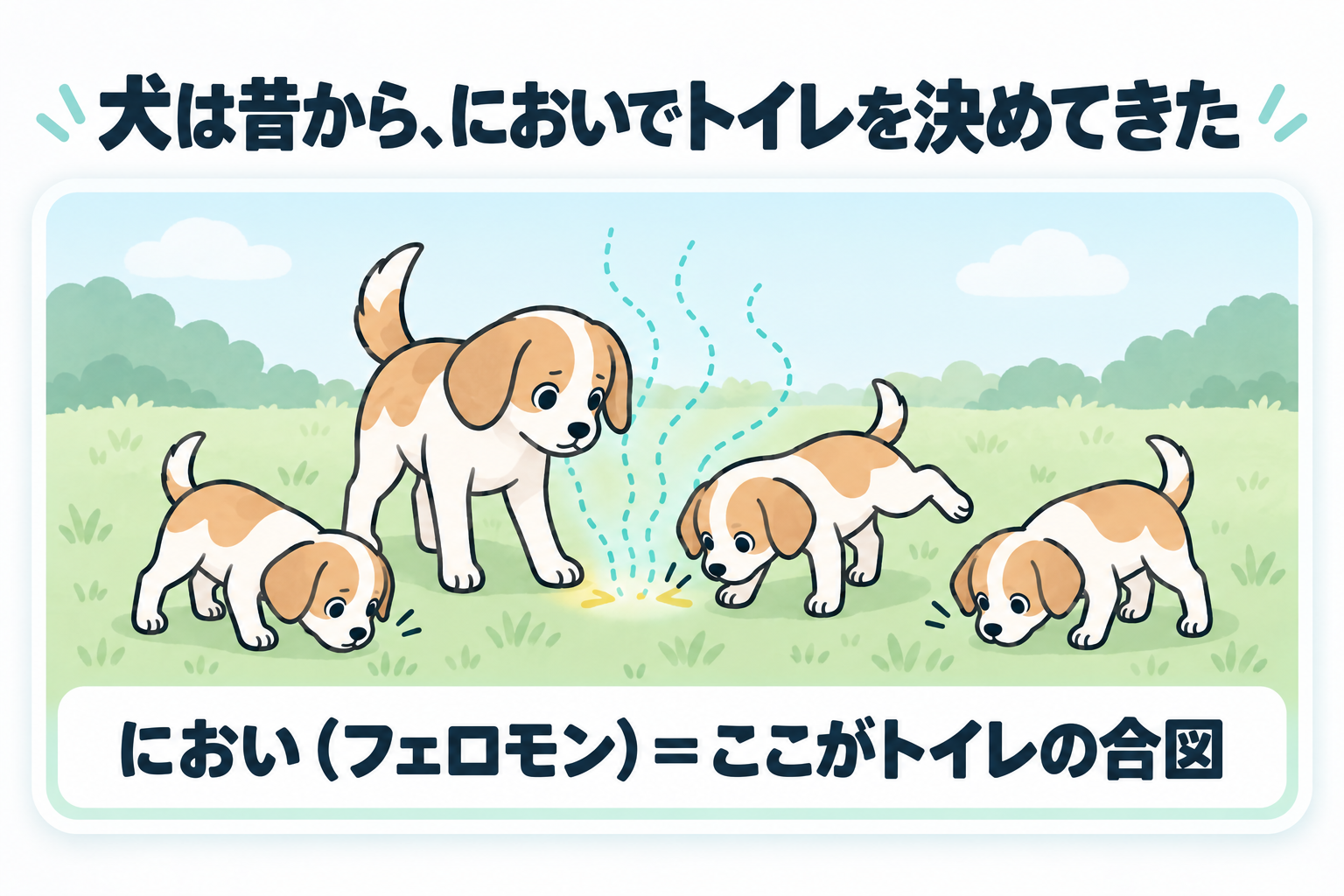 犬は昔から、においでトイレを決めてきた。母犬のおしっこのにおいをかいで、子犬も同じ場所でおしっこをする。
