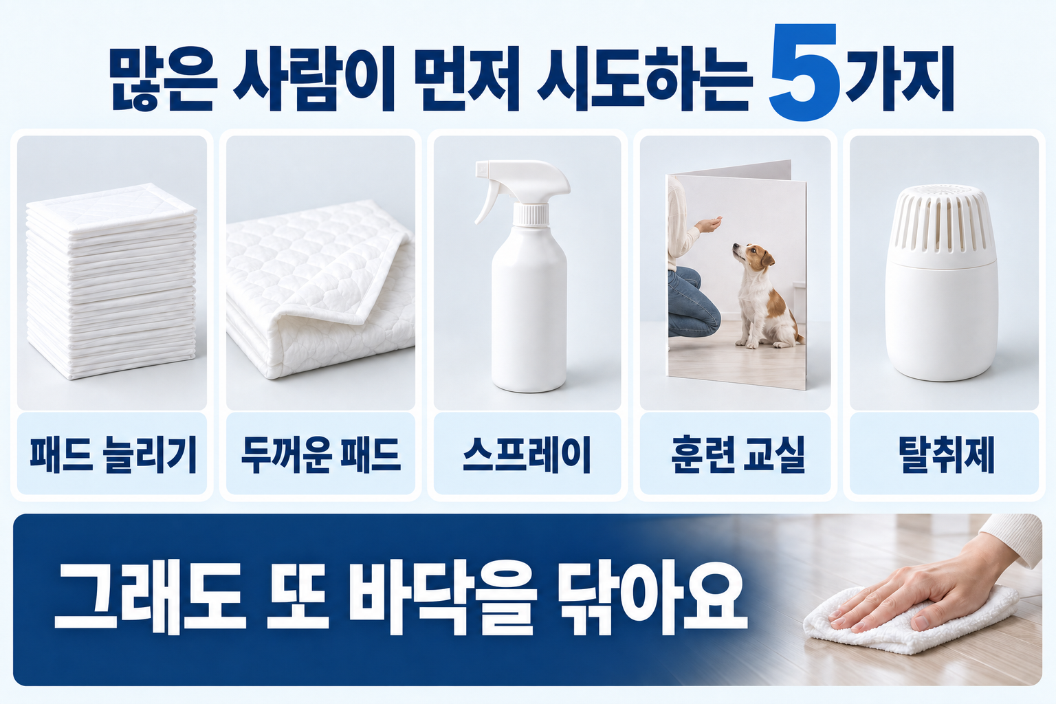 많은 사람이 먼저 시도하는 5가지. 일회용 배변패드 늘리기, 두꺼운 패드, 스프레이, 훈련 교실, 탈취제. 그래도 또 바닥을 닦는다.