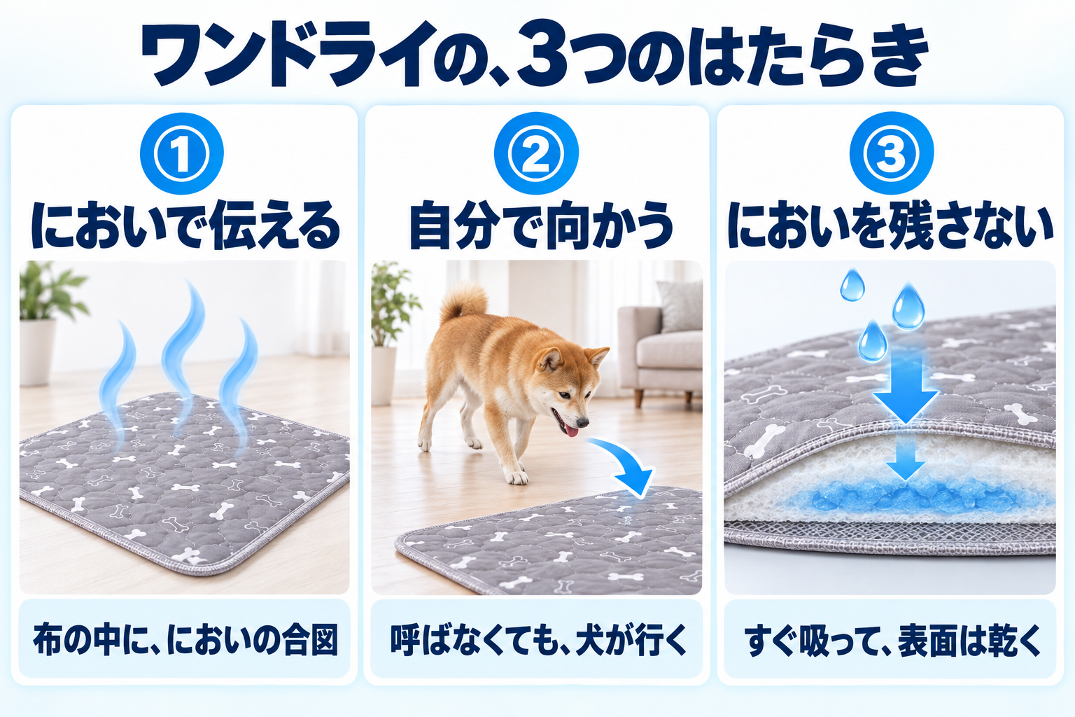 ワンドライの3つのはたらき。においで伝える、自分で向かう、においを残さない。