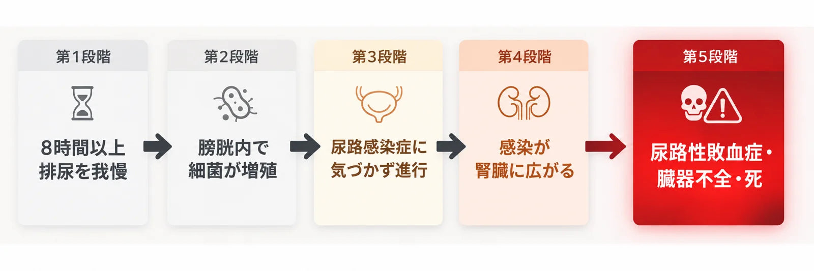 排尿の我慢から尿路性敗血症までの五段階の図